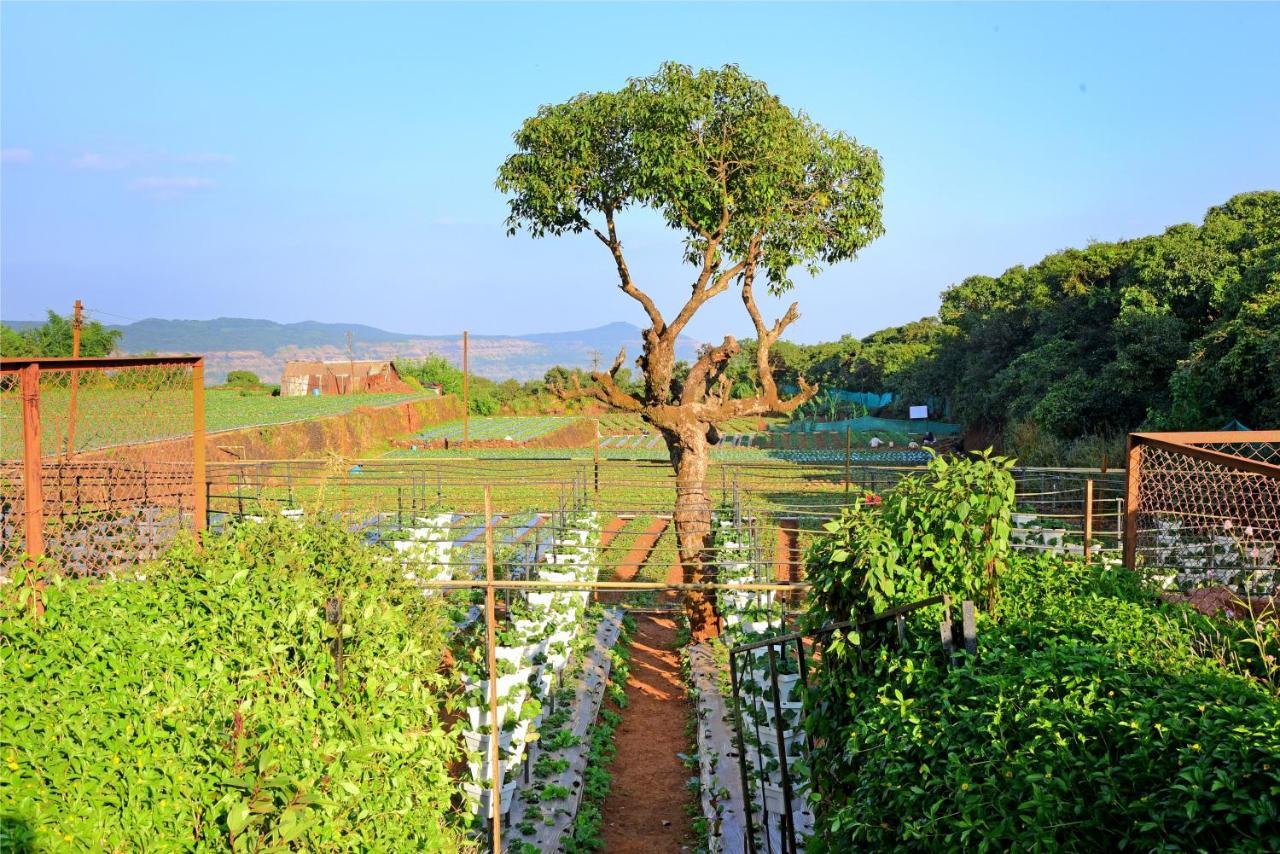 Hrishikesh Villa, Besides Valley Mahābaleshwar Esterno foto